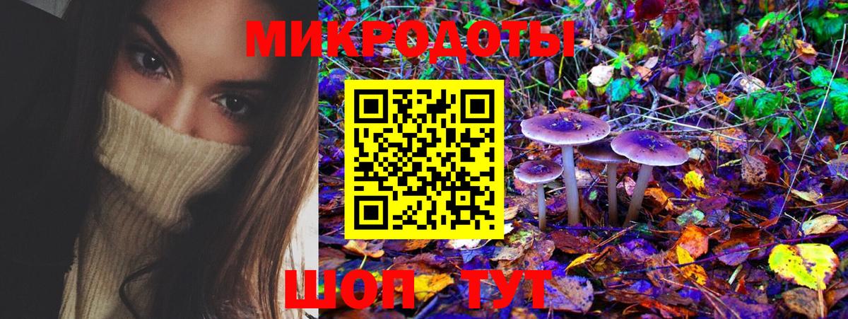 Псилоцибиновые грибы Psilocybe  Вход с VPN  Сунжа 