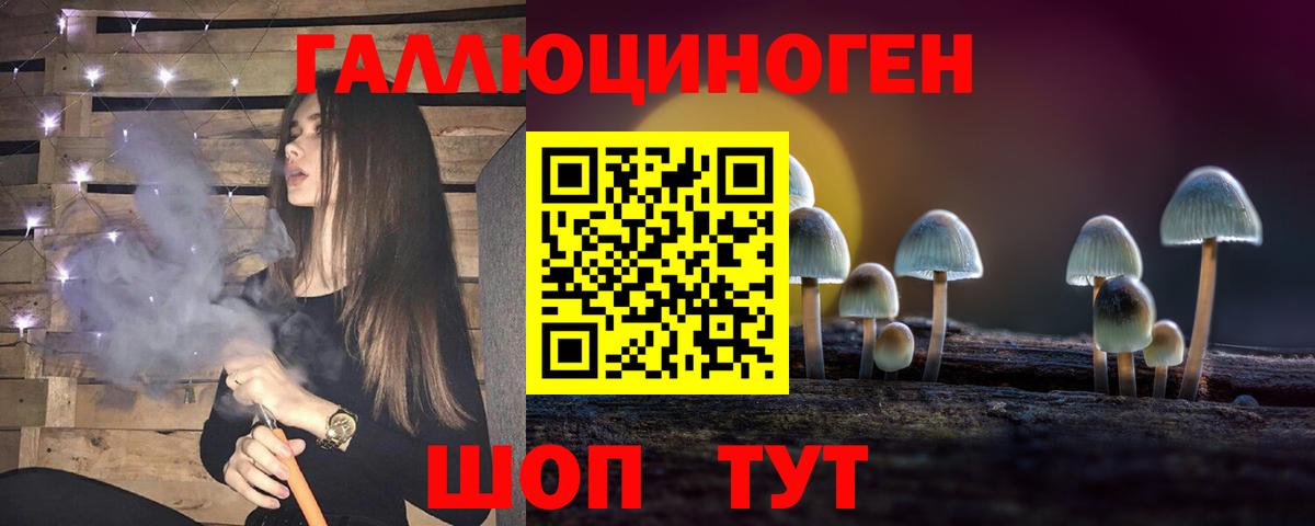 Псилоцибиновые грибы Psilocybe Сунжа